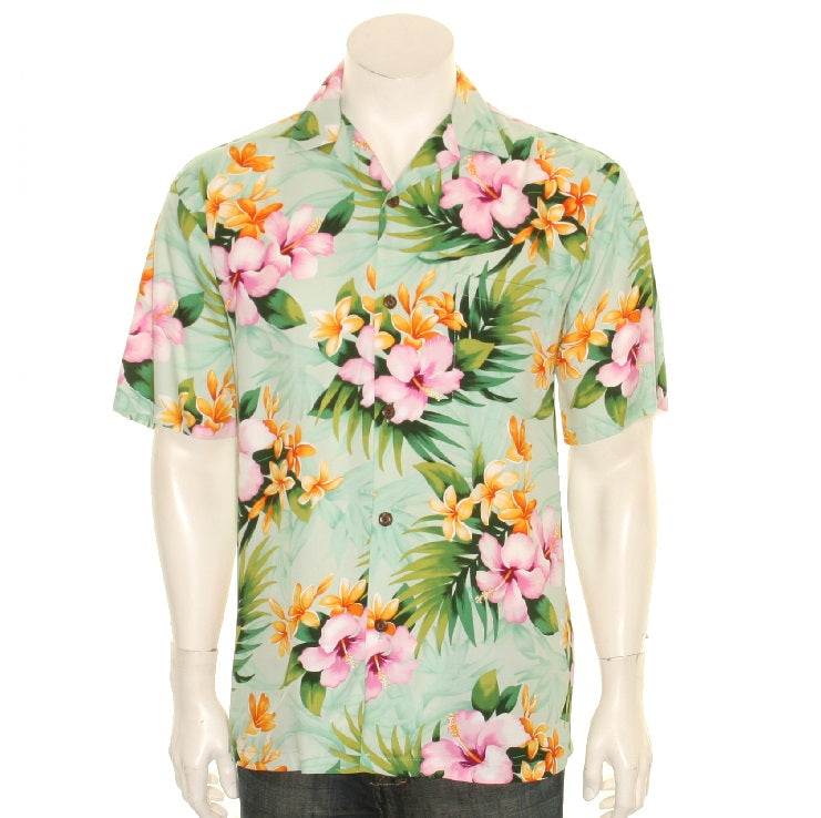 Hibiscus